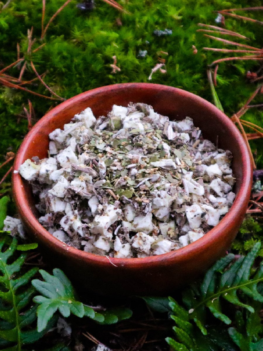 Forest Archer Tea (H) product image (1)