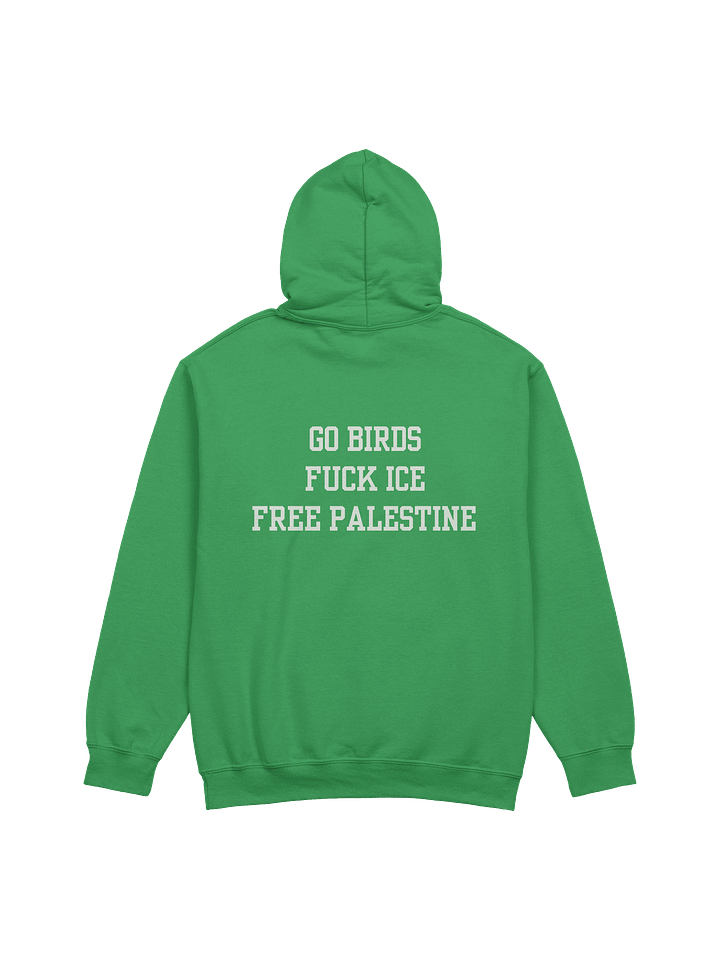 Go Birds, Fuck Ice, Free Palestine - Hoody product image (1)