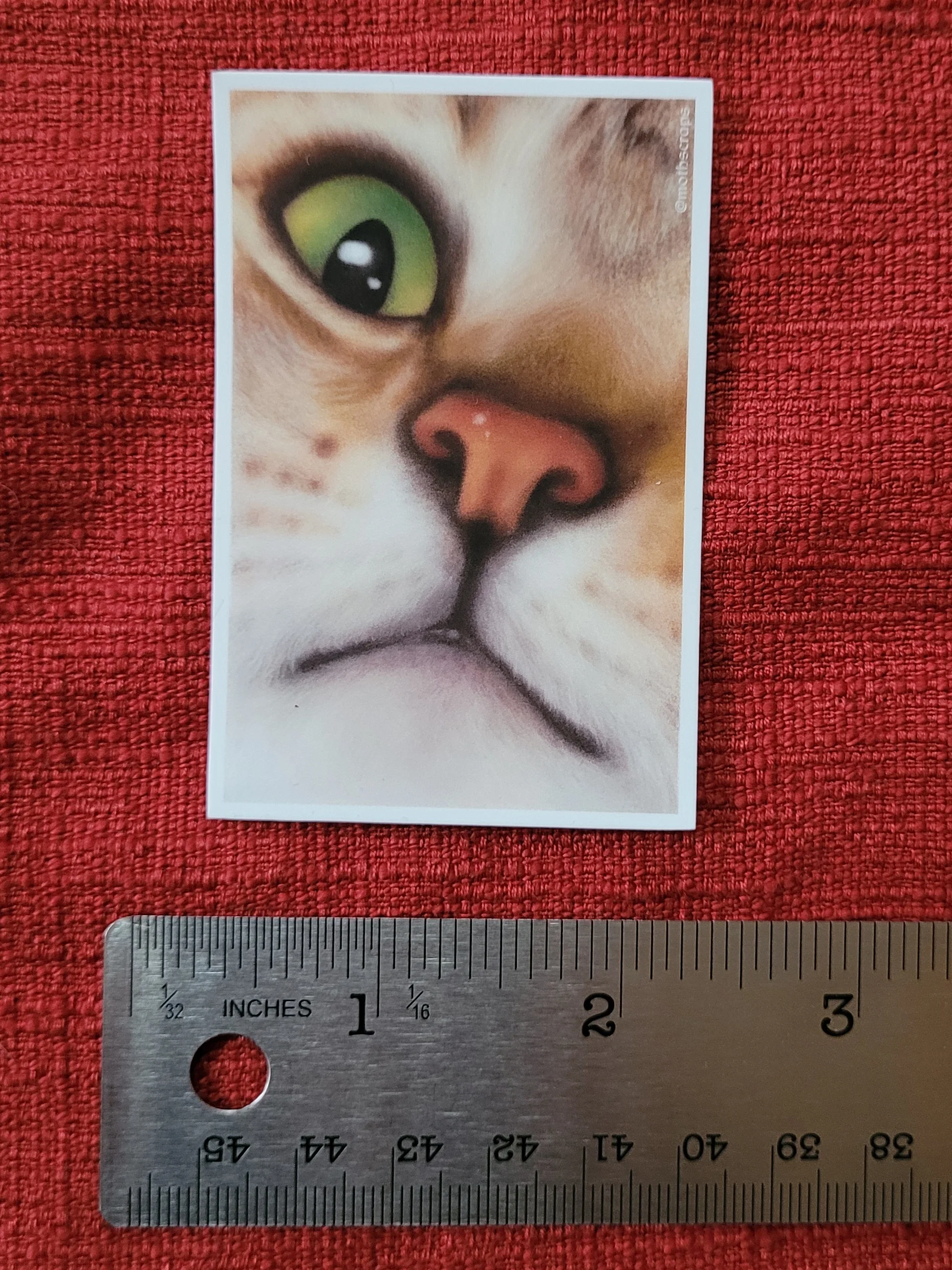 Big Cat Face Sticker product image (2)
