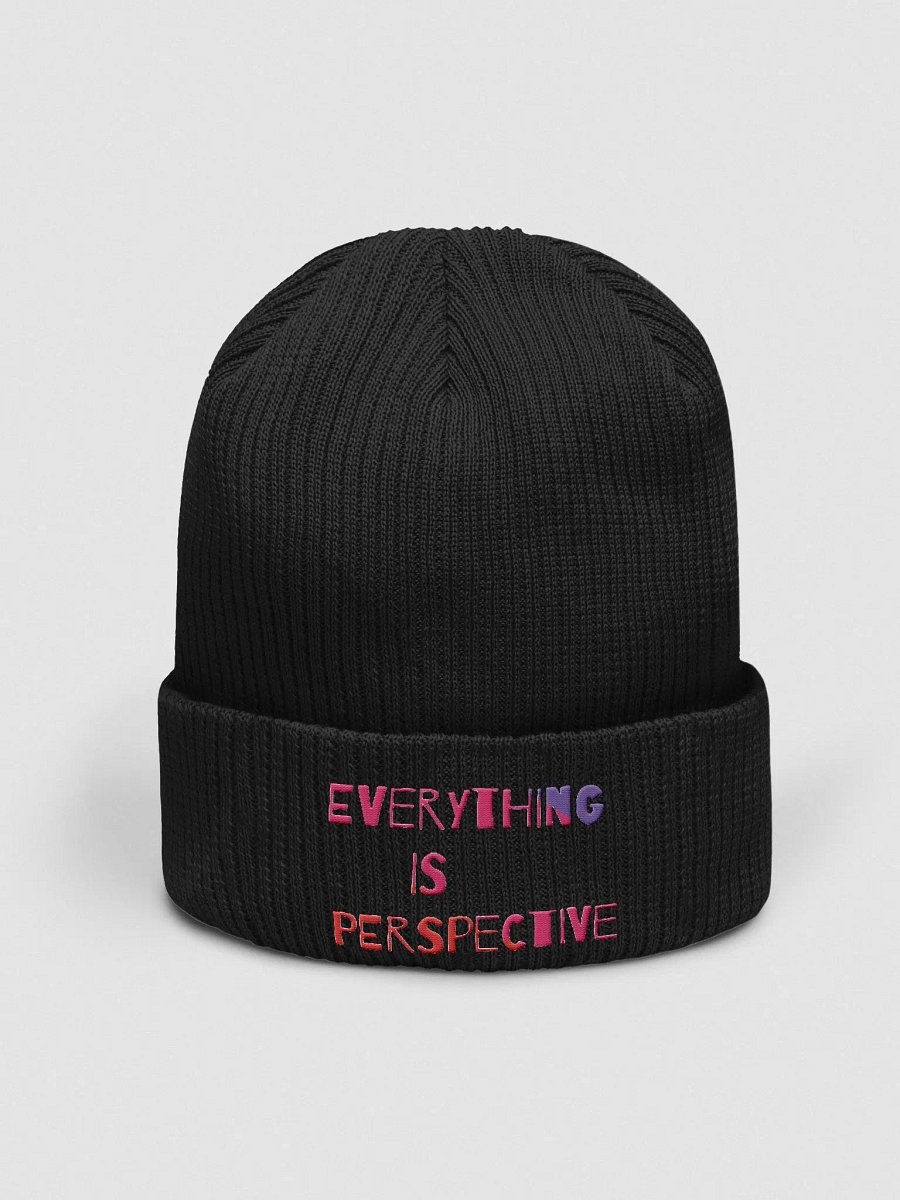 Everything Is Perspective product image (7)