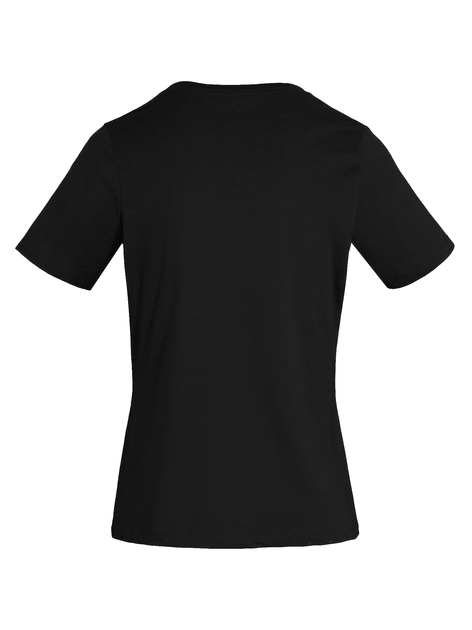 The Professional - Women's V-Neck product image (24)