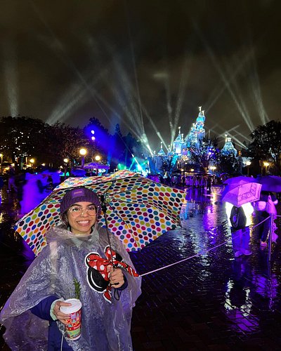 HAPPY NEW YEARS!!! From a soaked filled adventure 🥶🧍🏻‍♀️ #disneyland