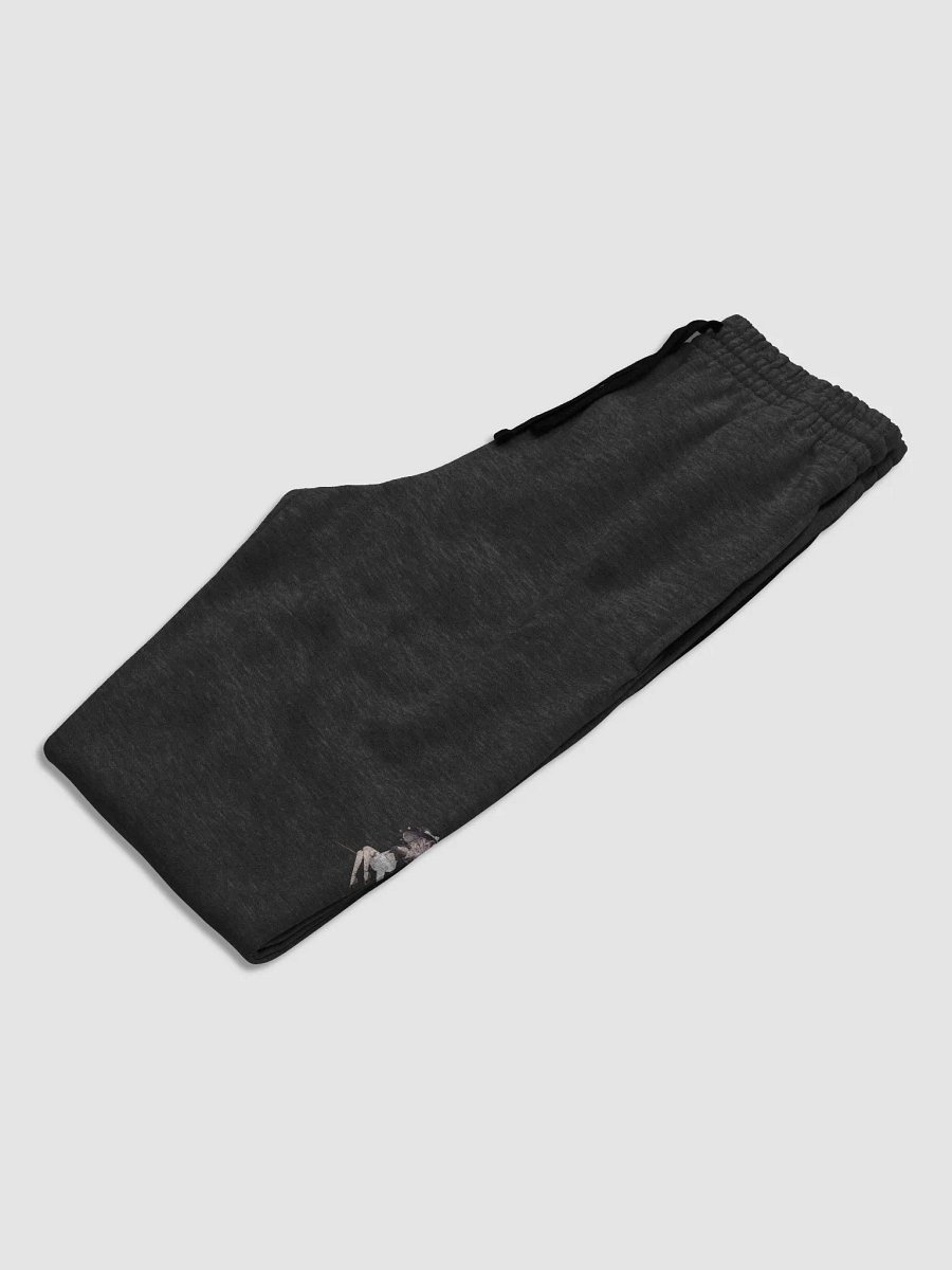 Witch Joggers product image (2)