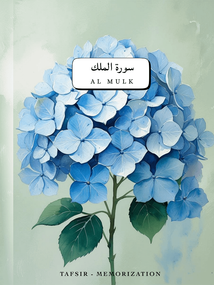 67. Surah Al Mulk | Workbook + Tafsir Ibn Kathir - Memorisation - Digital Download product image (2)