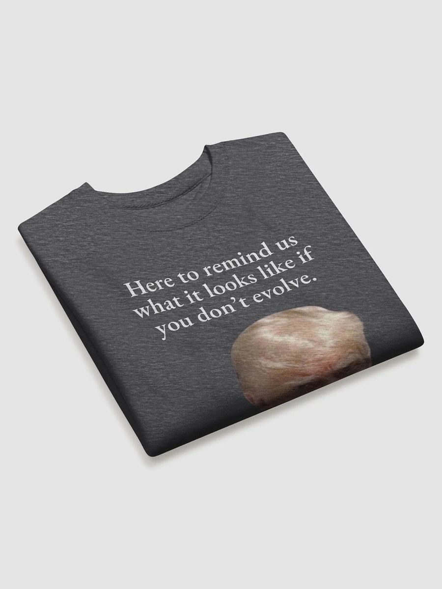 Here to remind us... Premium Sweatshirt product image (17)