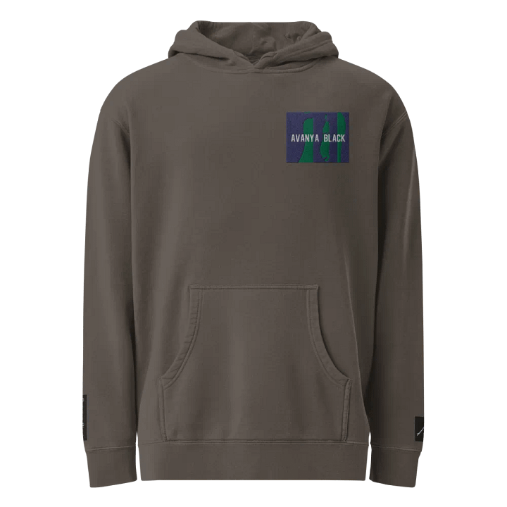 Avanya Black Embroidered Hoodie product image (1)