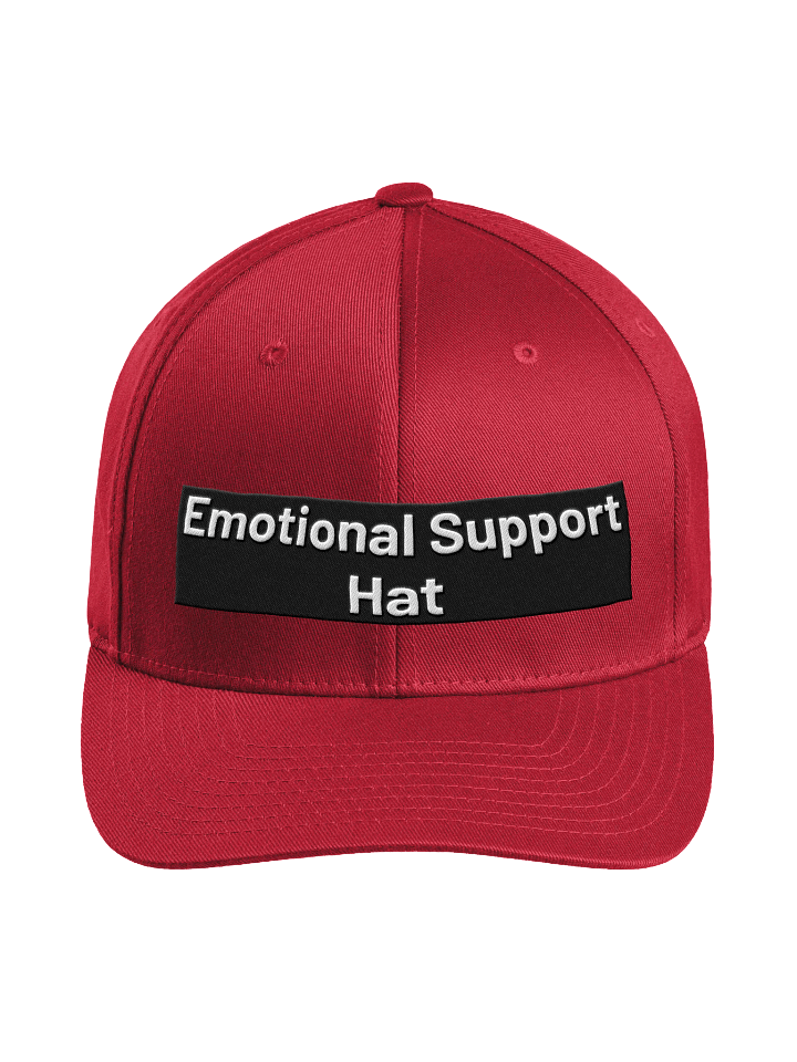 Flexfit Hat - Emotional Support product image (43)