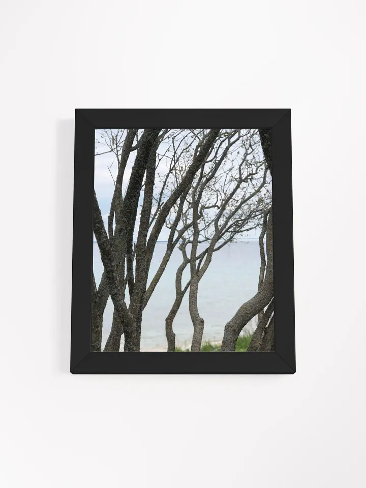Winding Branches High Quality Matte Poster product image (1)