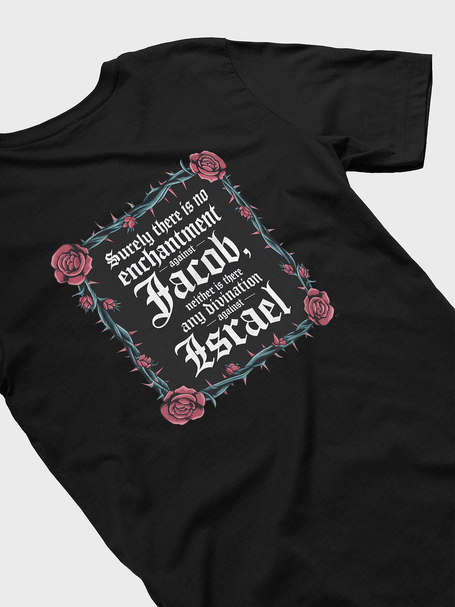 numbers 23:23 tee unisex product image (7)
