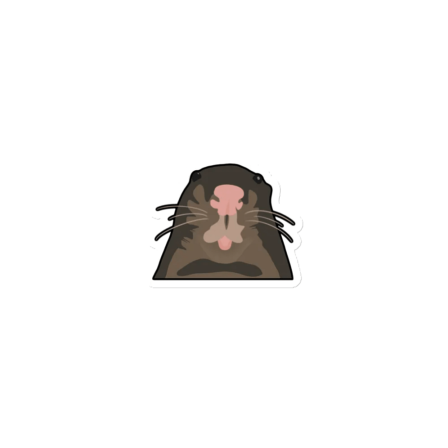 Rat Influencer Magnet product image (1)
