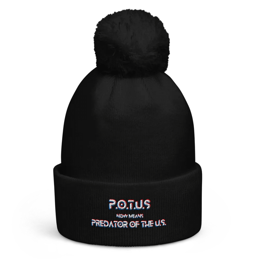Resistors, What POTUS Now Means, Pom Beanie product image (1)