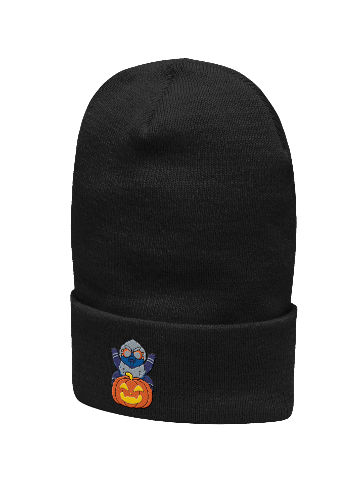 Spooky Embroidered Beanie product image (17)