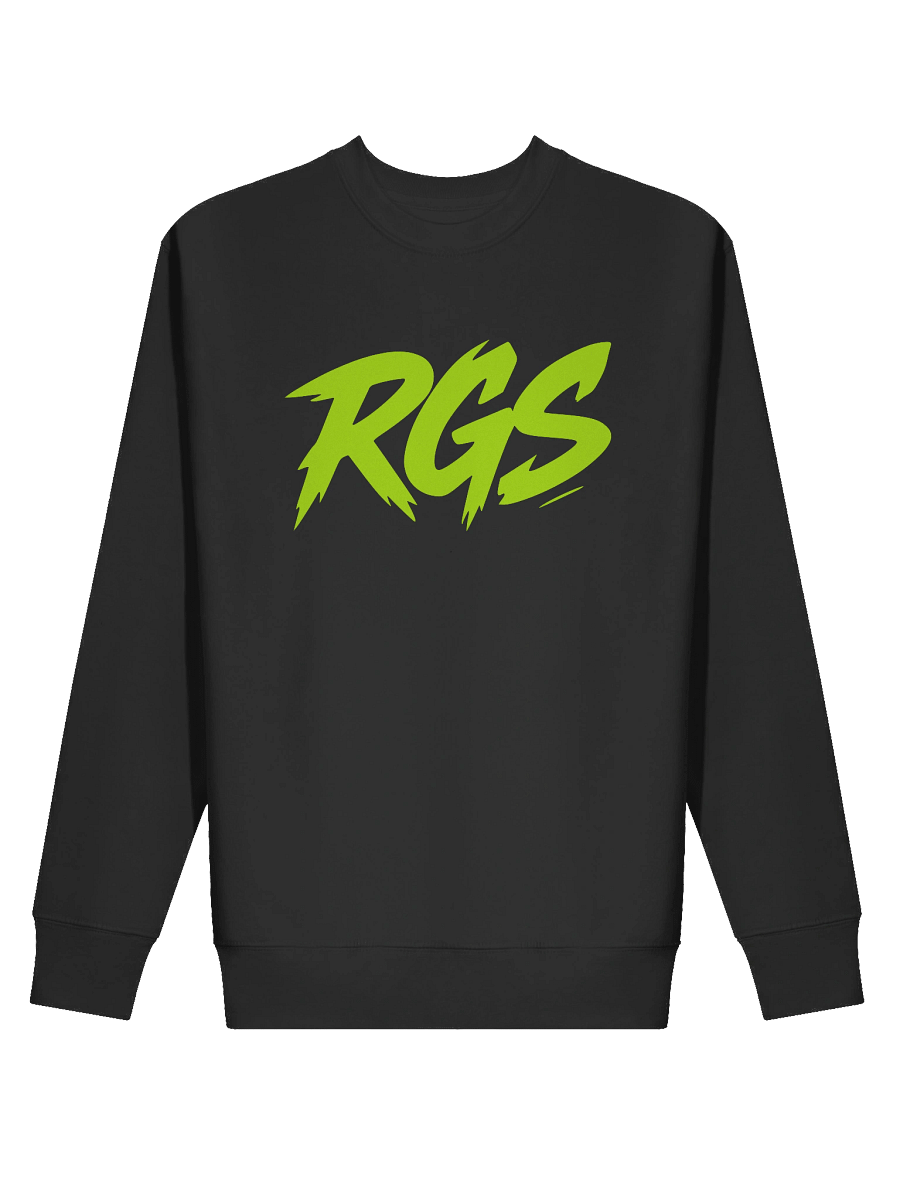 RGS Gamer Sweatshirt – Indie Spirit Pullover product image (2)