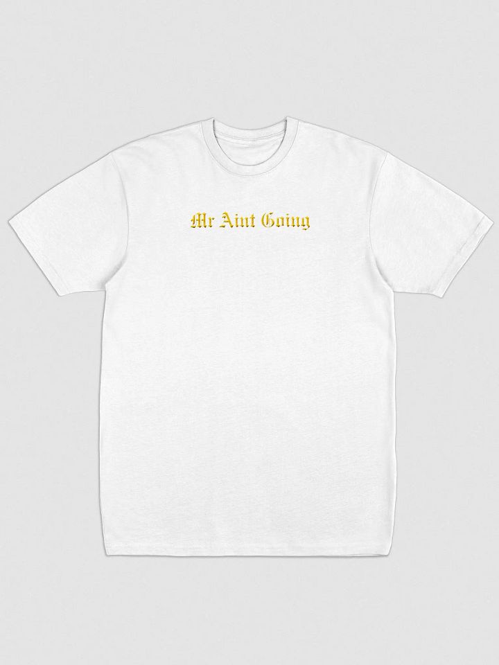 Mr Aint Going HeavyWeight Ebroided Tees Designed by Anopa Silver product image (8)