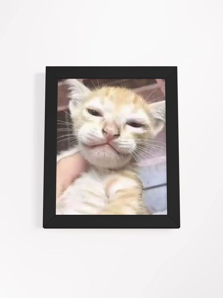 Cat product image (6)