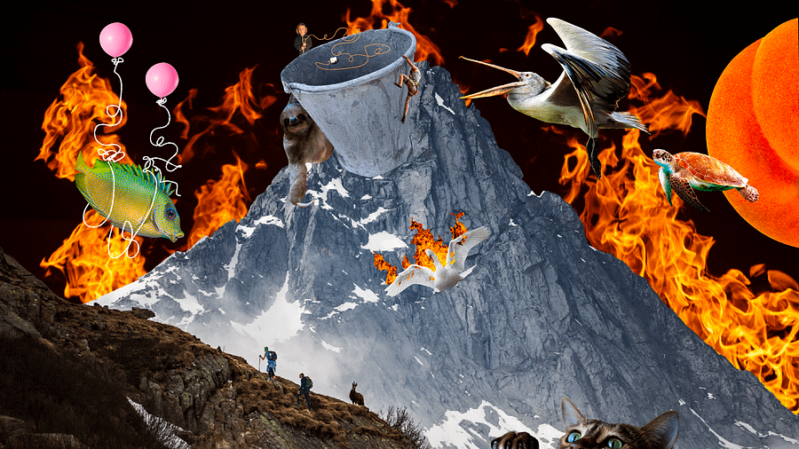 On Stream Collage Downloads product image (7)