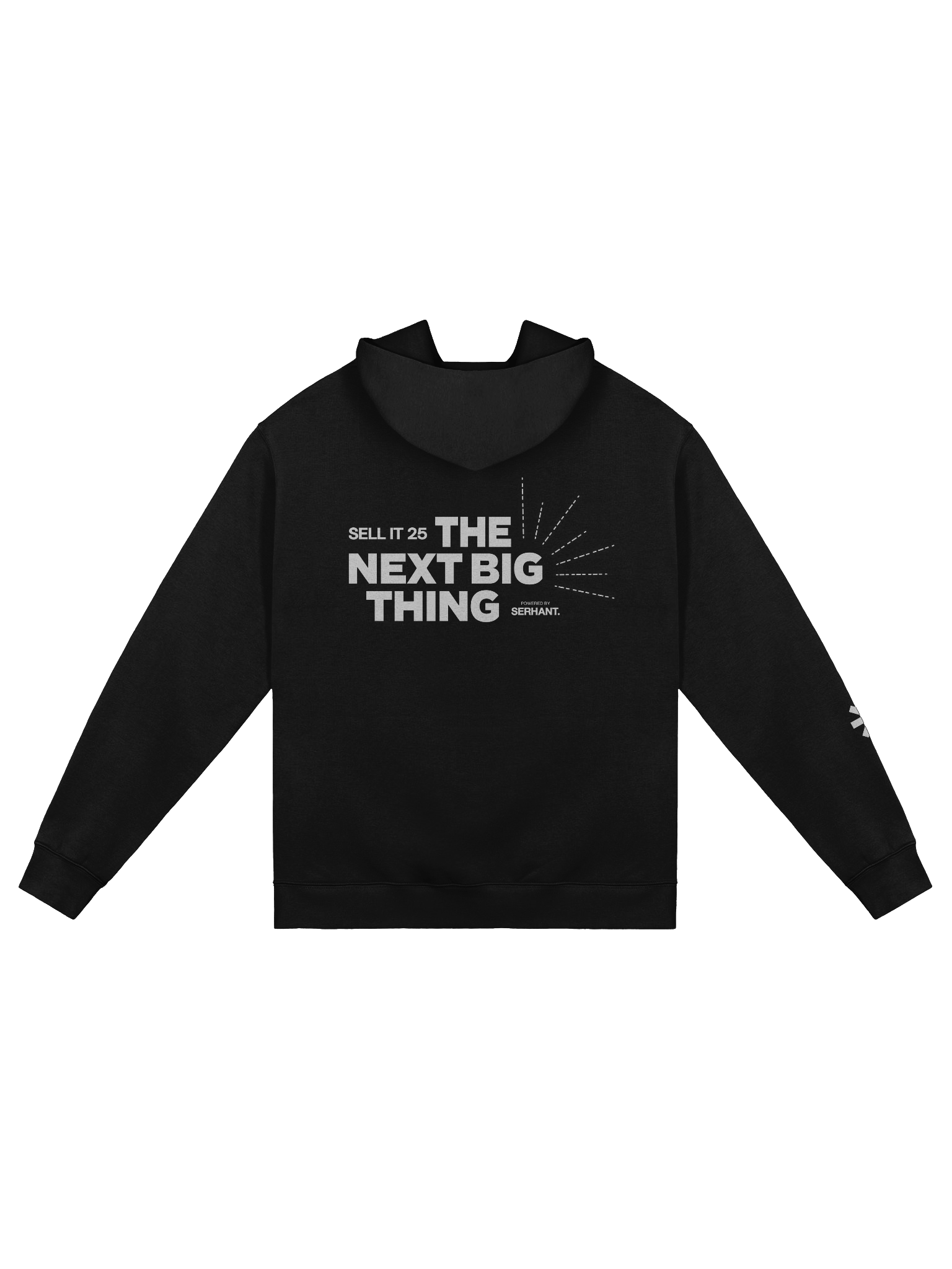 Sell It 25 The Next Big Thing Hoodie product image (2)