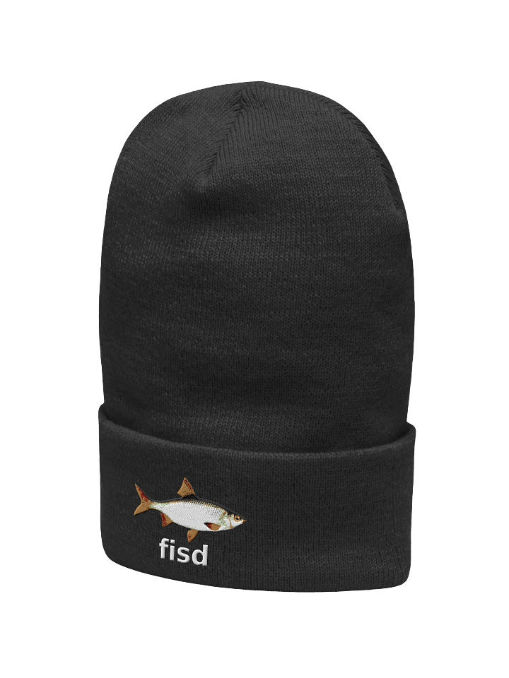 fisd beanie product image (2)