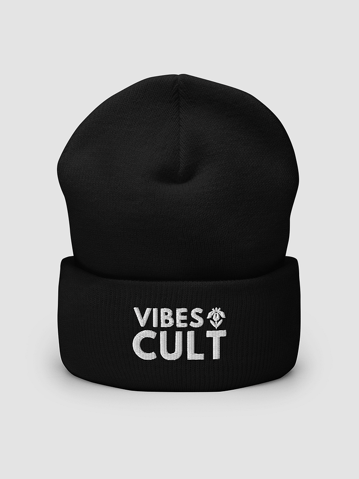 Embroidered Cuffed Beanie - VIBES CULT product image (1)