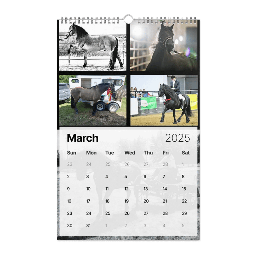 2025 Moriesian Horse Registry Calendar product image (22)