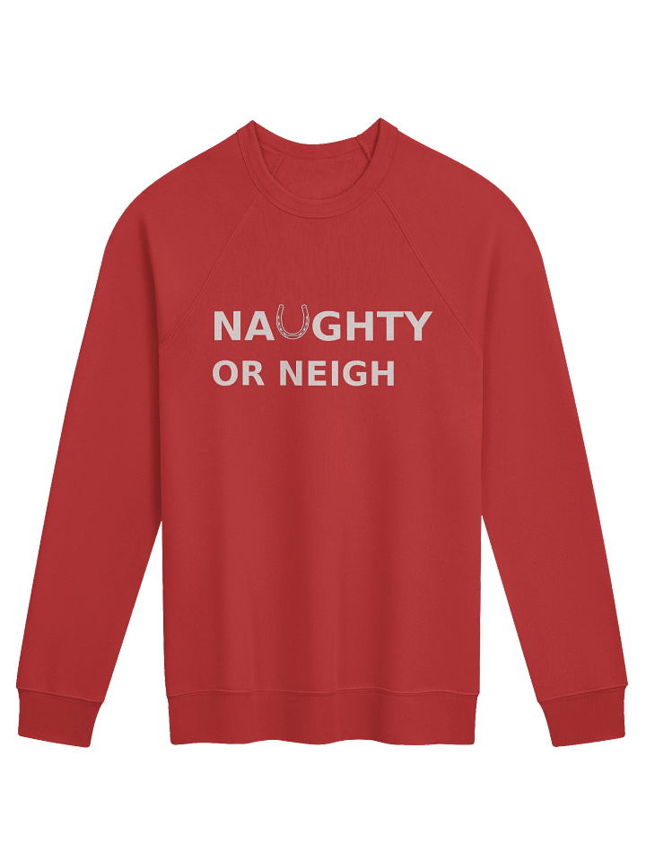 The Naughty or Neigh Sweatshirt product image (1)