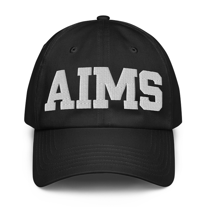 Aims Dad Hat by Under Armor product image (1)