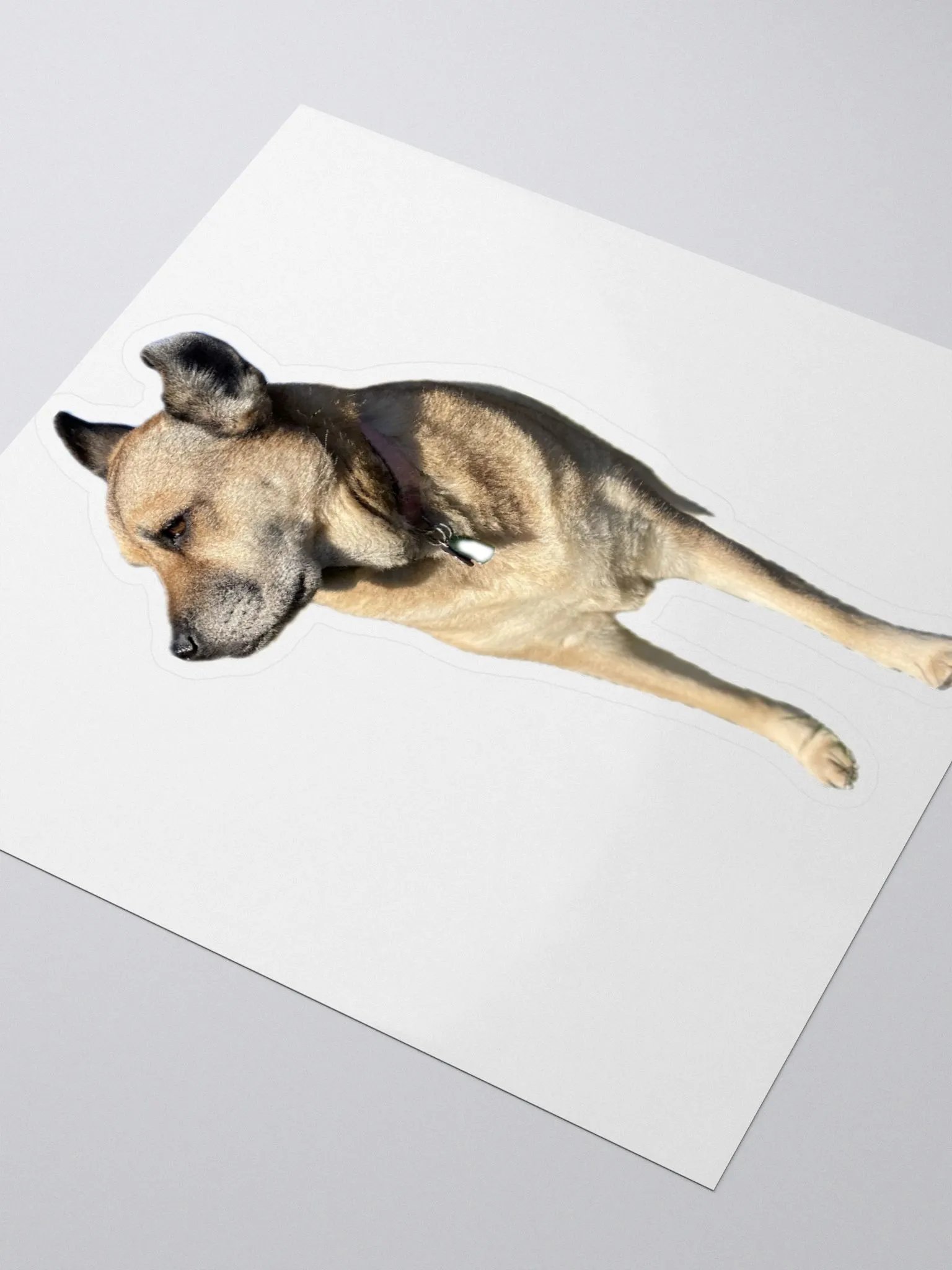Brinlee sticker product image (3)