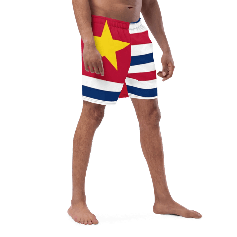 LA SwimTrunks product image (8)
