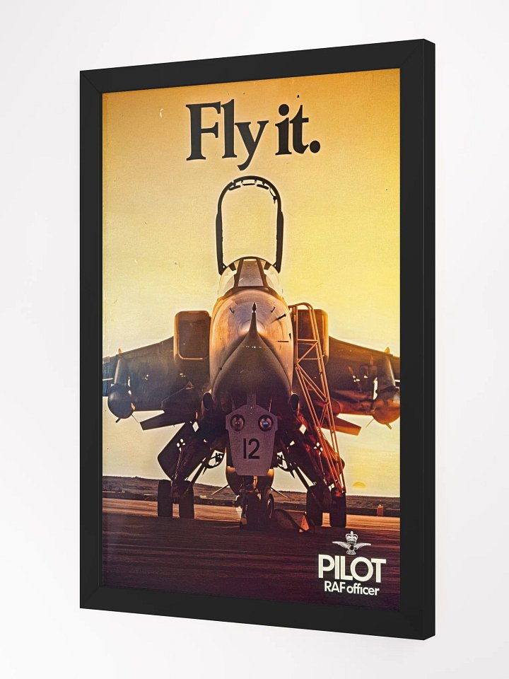 Fly it. product image (2)