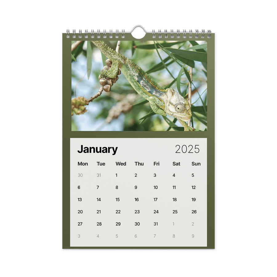 Biodiversity & Environment Africa 2026 Calendar product image (2)