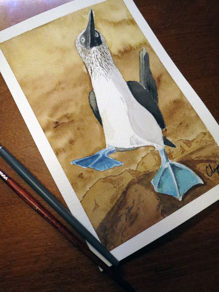 Blue Footed Booby - Original Watercolor Painting product image (1)