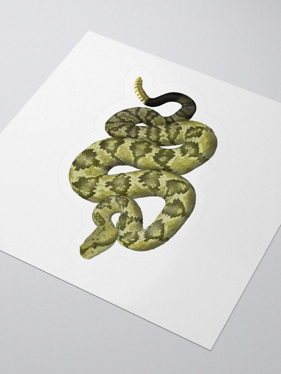 Die-Cut Sticker – Blacktailed Rattlesnake (Desert Phase) product image (3)