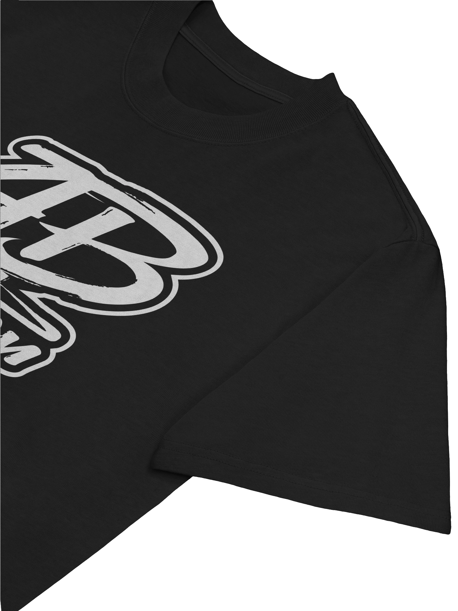 Signature Logo Oversized Tee product image (2)