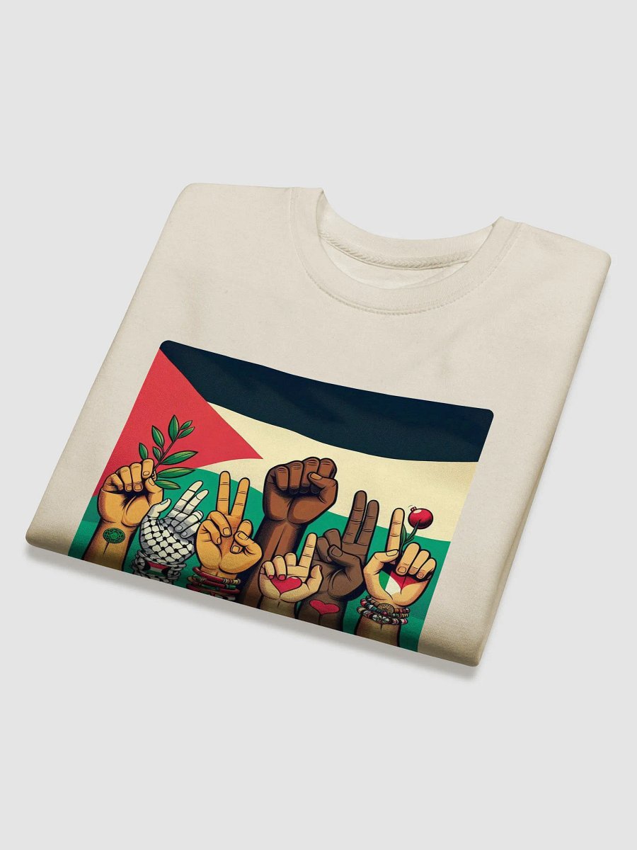 Solidarity Stripes Sweatshirt | free palestina product image (32)