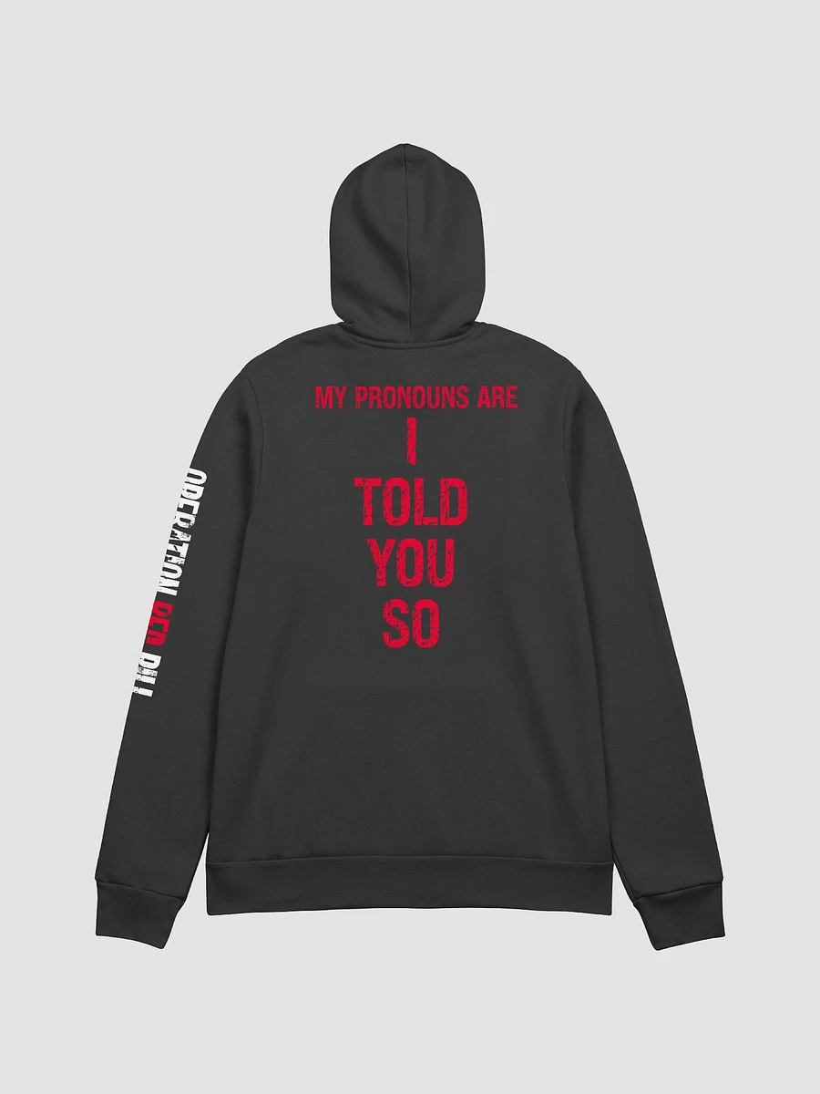 Conspiracy Pronouns Hoodie product image (2)