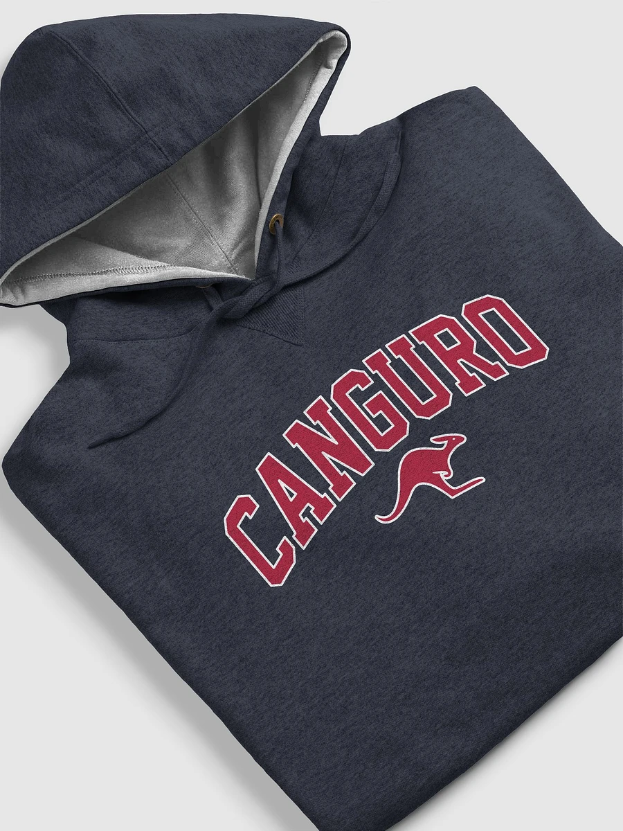 Champion x Canguro College Hoodie (navy) product image (6)