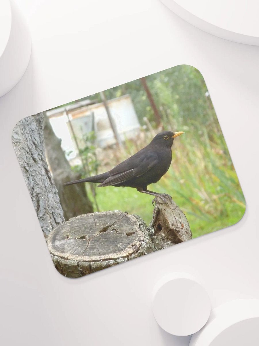 Classic Mouse Pad - The common blackbird product image (7)