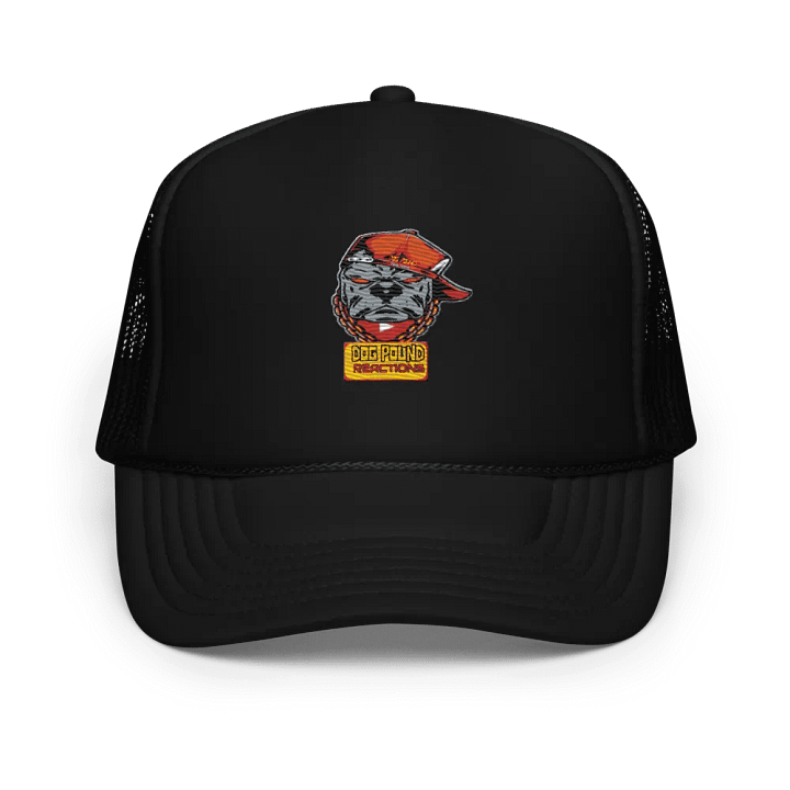 DPR Hat product image (1)