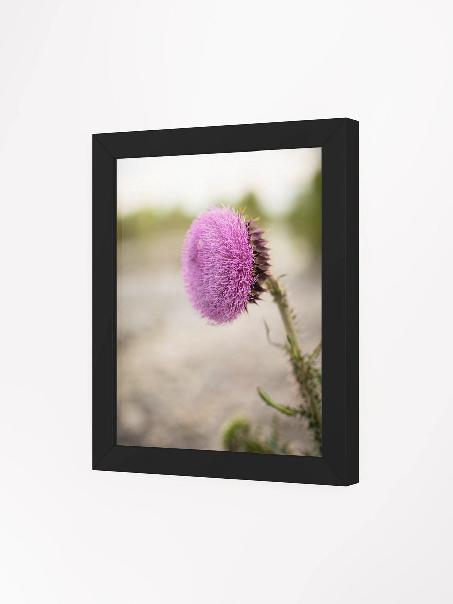 Flower - Blackfoot, Idaho product image (9)