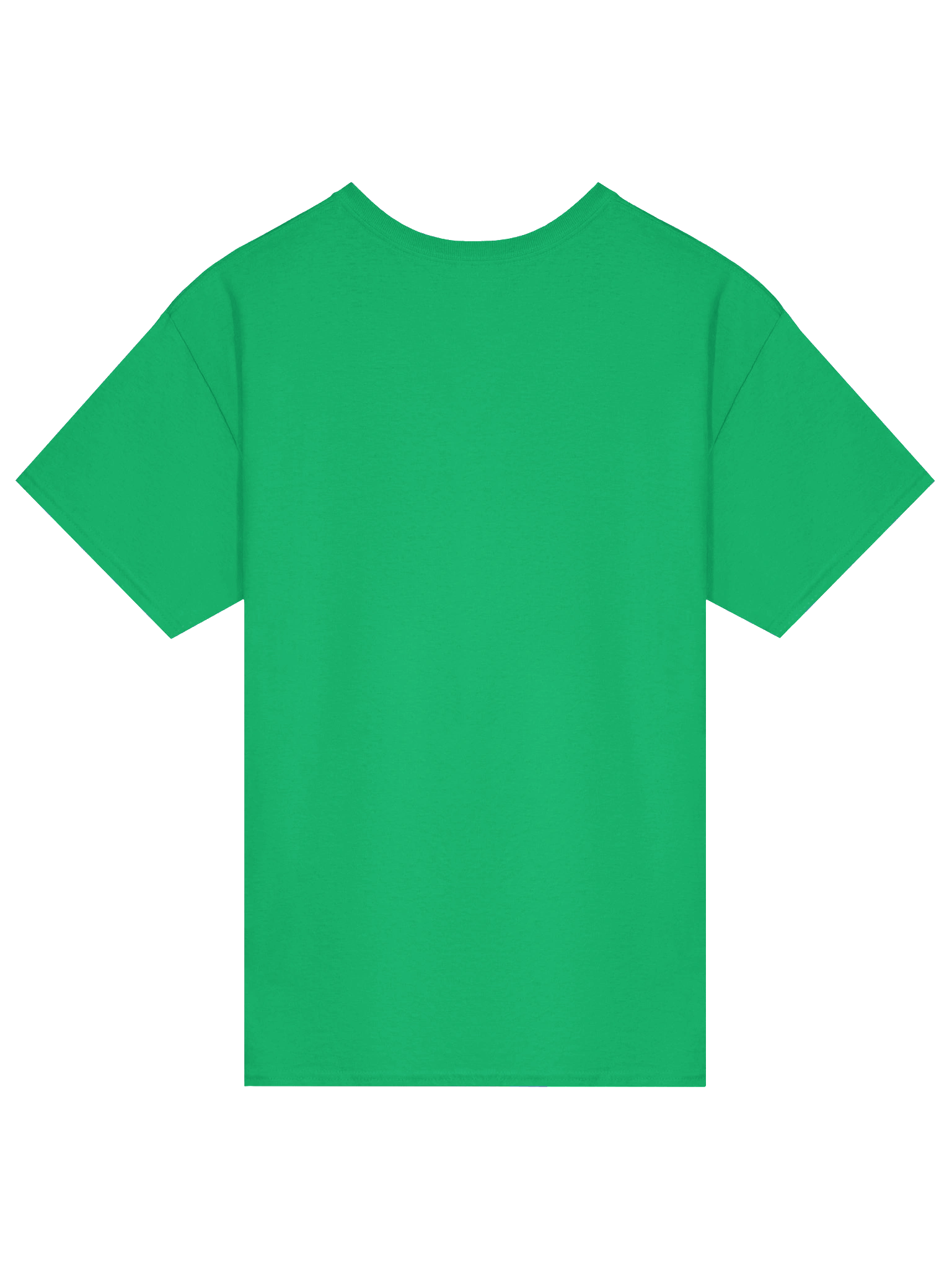 AppalShirt (Green) product image (4)