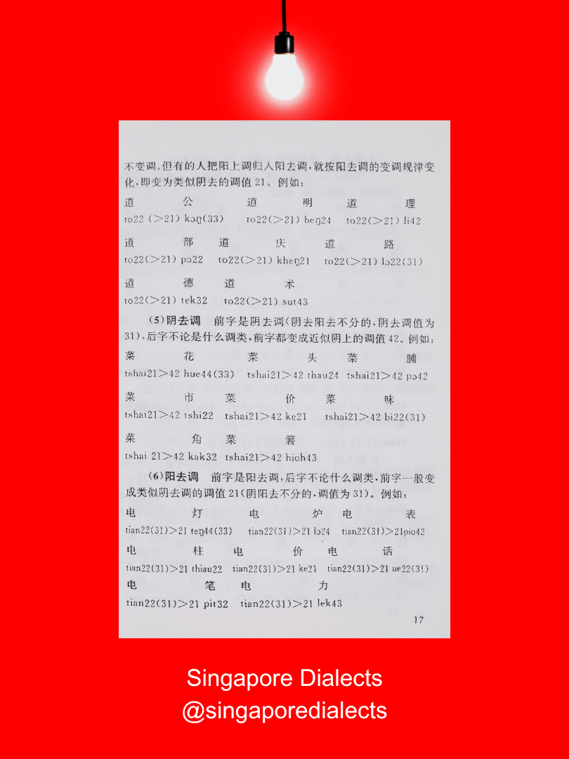 A Survey of Singaporean Hokkien 新加坡闽南话概说 product image (4)