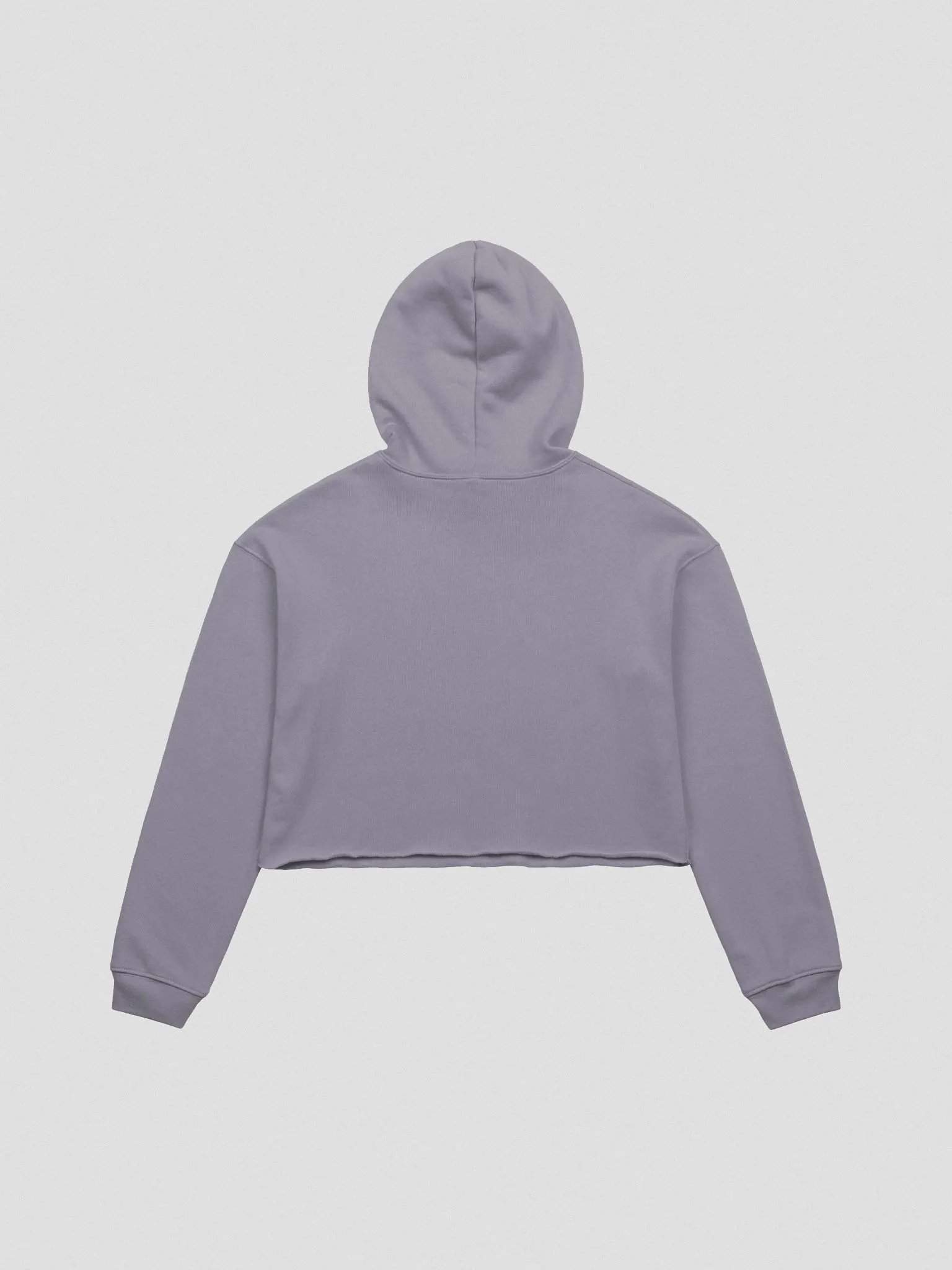 NPC Cropped Hoodie product image (5)