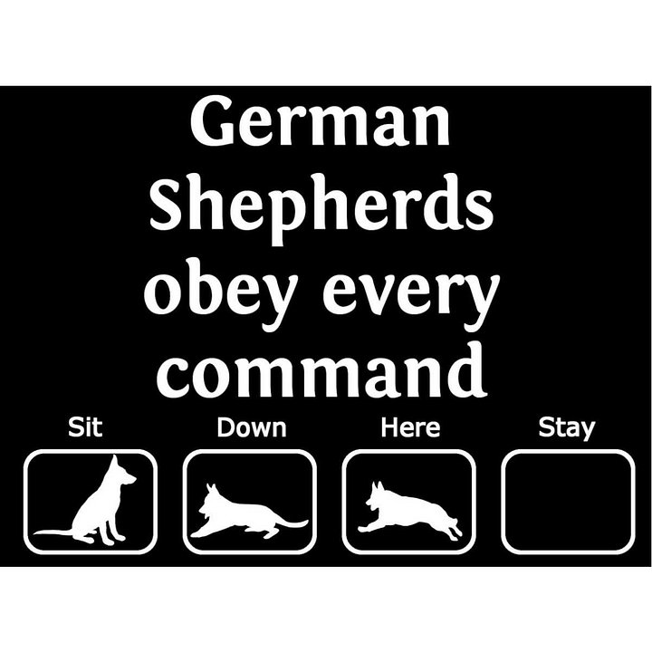 German Shepherds obey every command. Every? T-Shirt in Black product image (2)