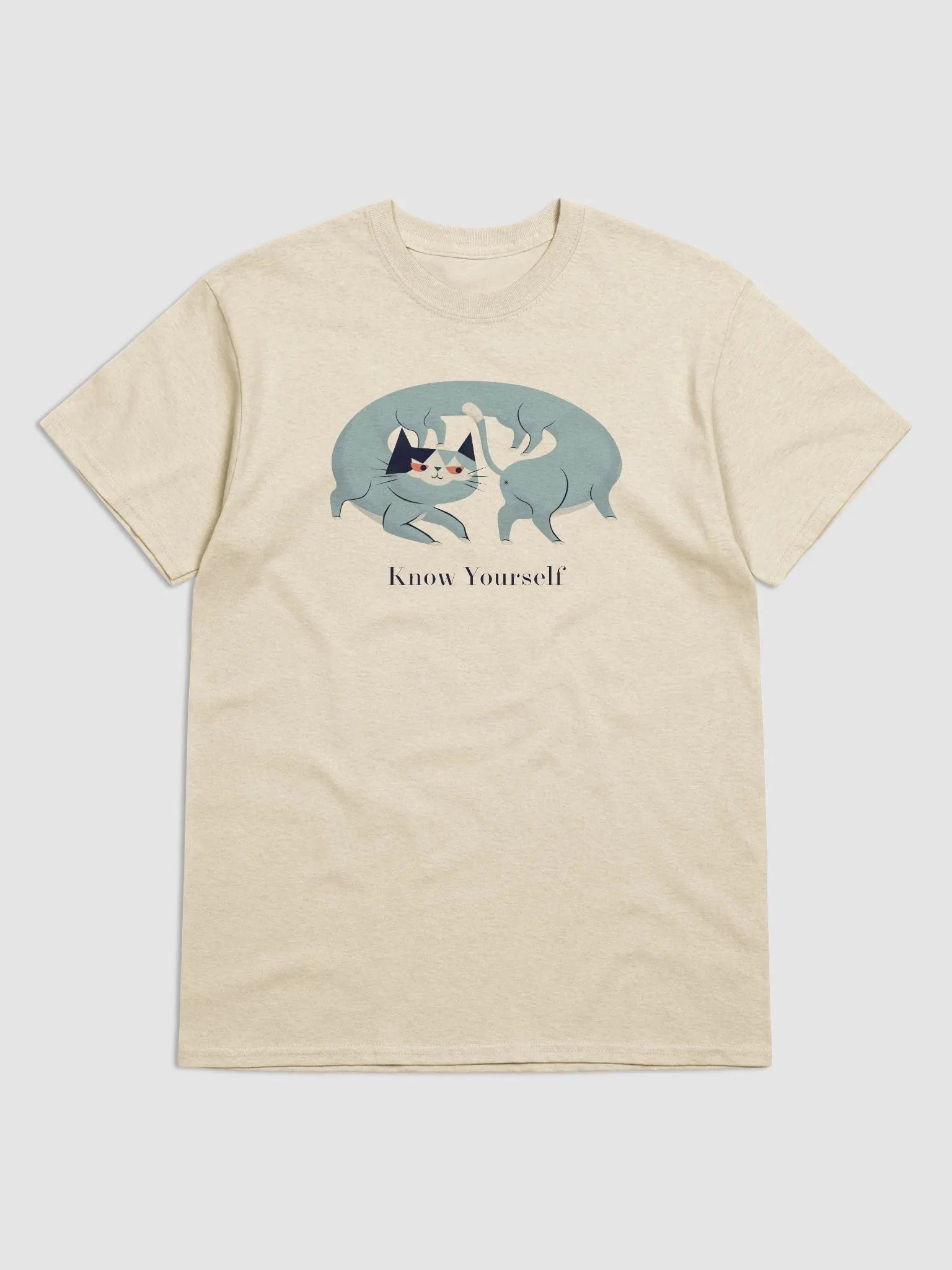 Know Yourself Heavyweight Unisex T-Shirt product image (13)