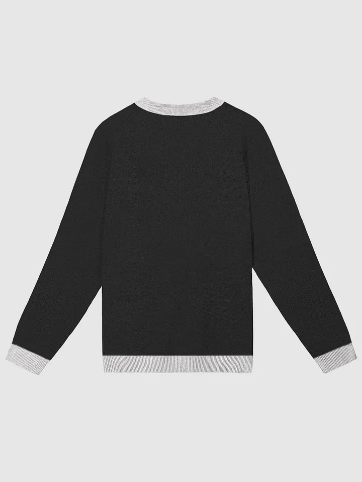 CS Sweatshirt product image (2)