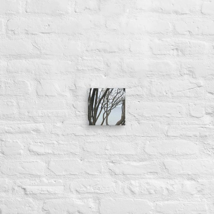 Winding Branches Canvas product image (2)