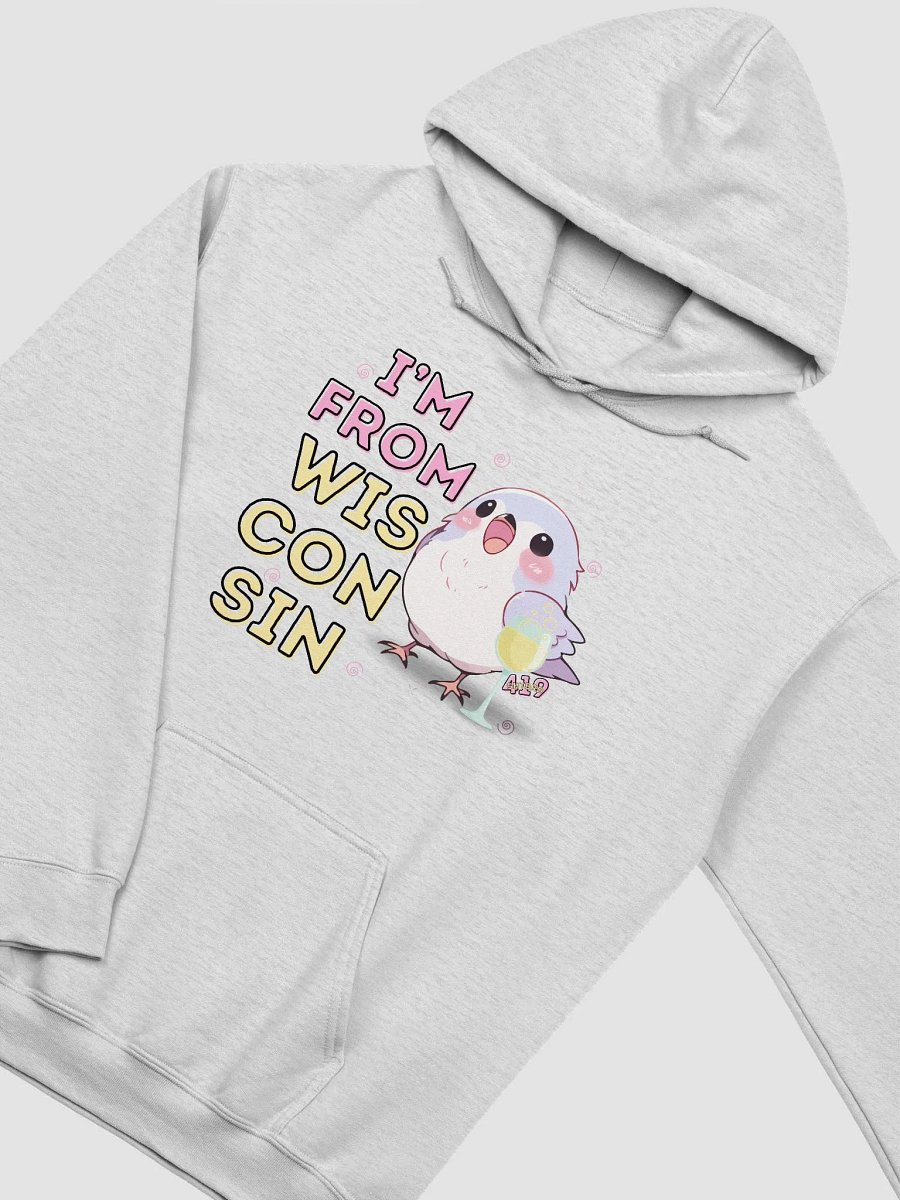 I'm From Wisconsin Bright-Colored Hoodie product image (3)