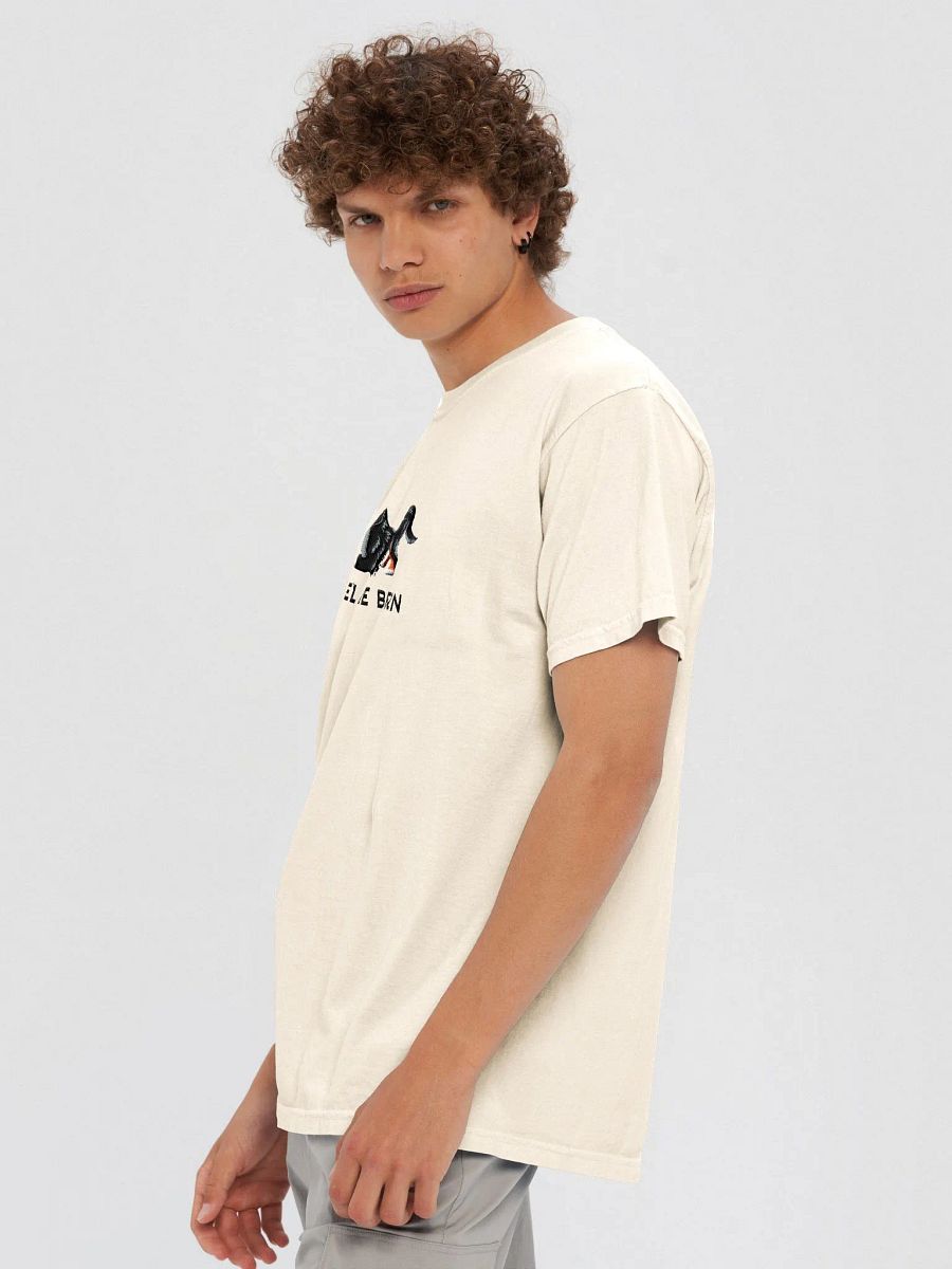 Feel the Bern T-Shirt(Embroidered) of a Bernese Mountain Dog product image (10)