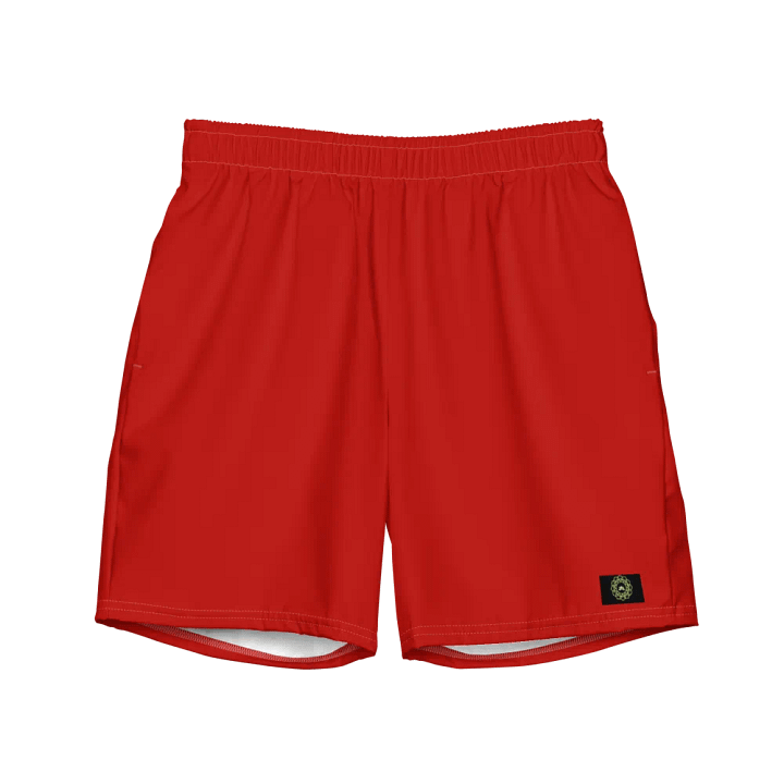 Geo Splash Swim Shorts product image (2)
