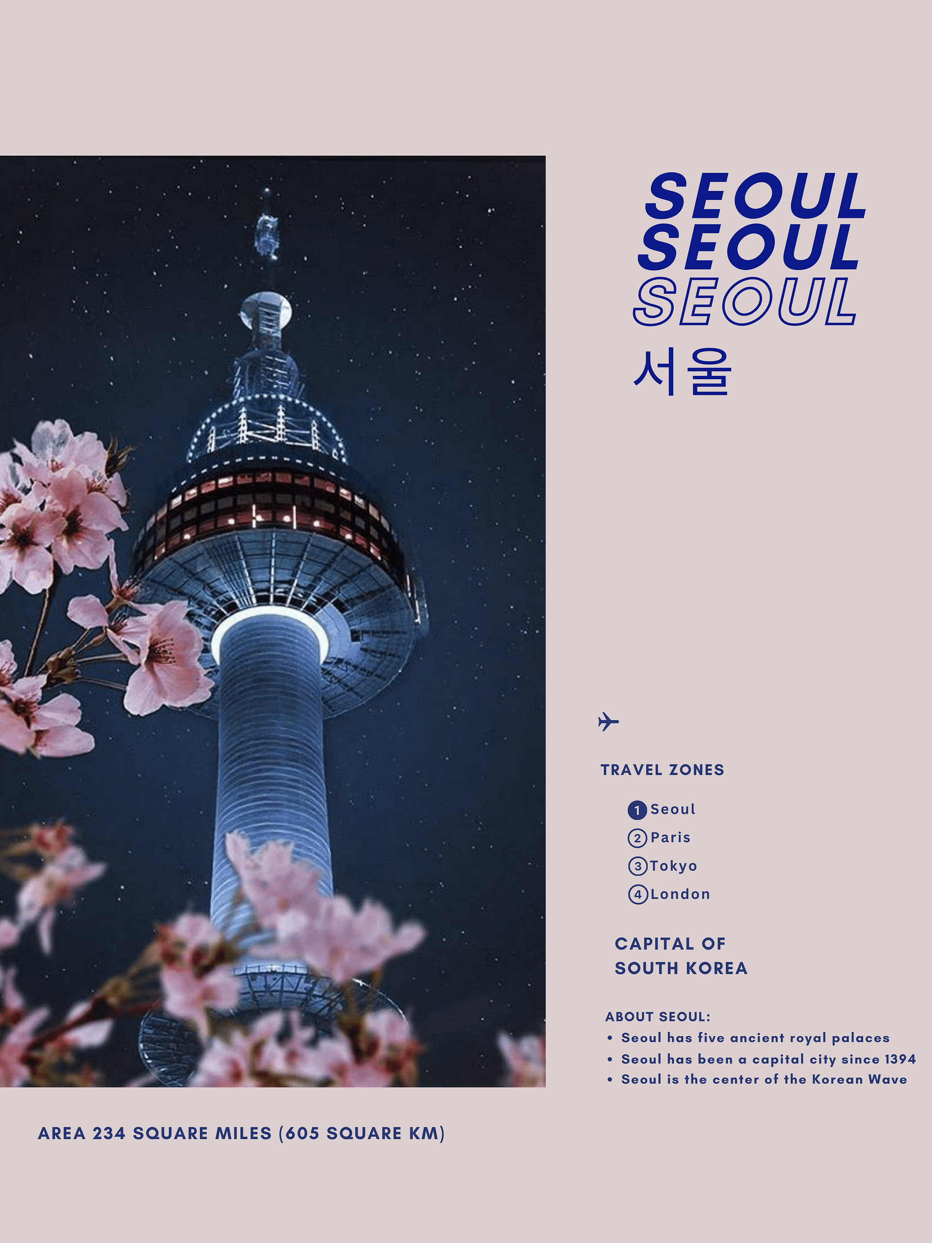 Seoul Blossom Tee product image (4)